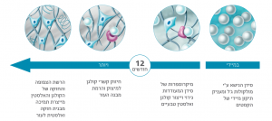 תוצאות טיפול ברדיאס